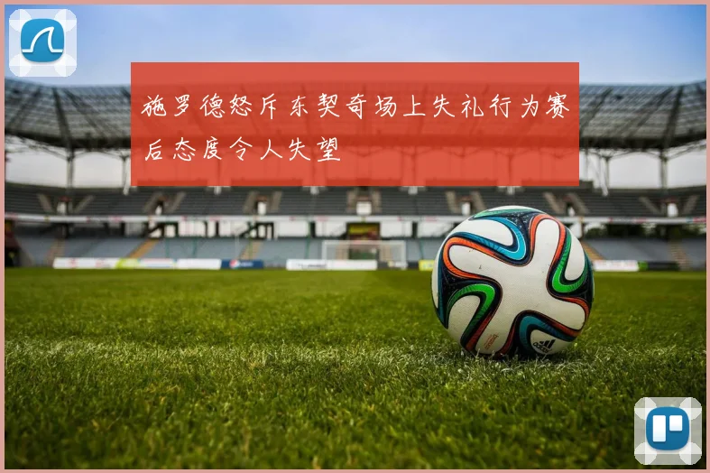 施罗德怒斥东契奇场上失礼行为赛后态度令人失望