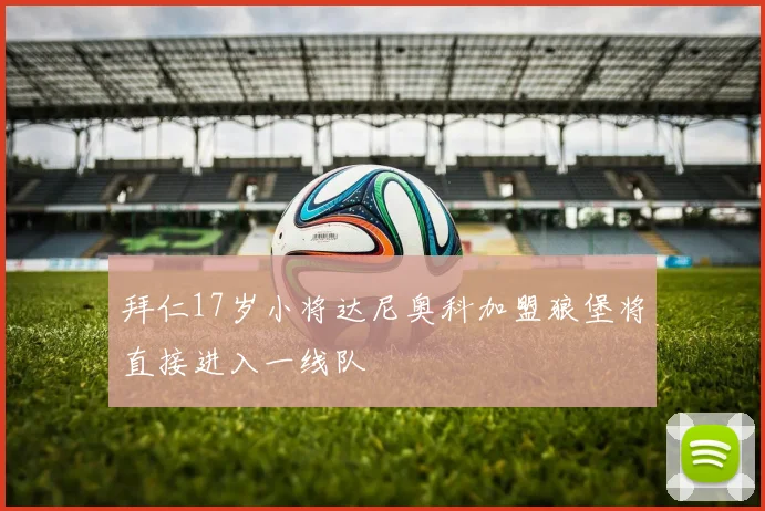 拜仁17岁小将达尼奥科加盟狼堡将直接进入一线队