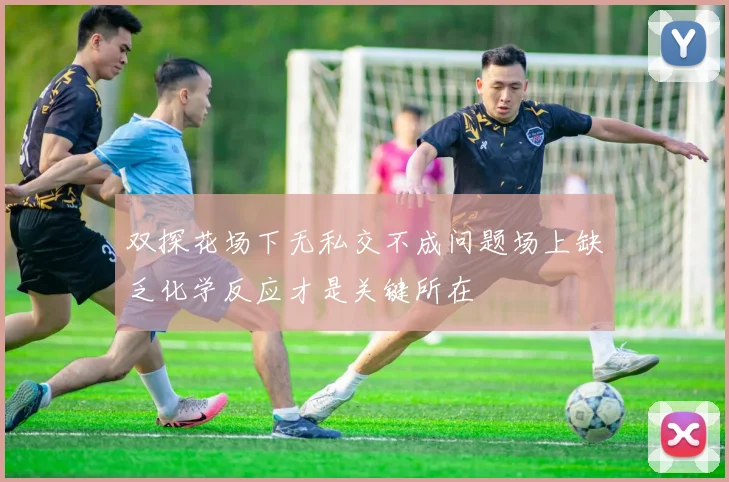 双探花场下无私交不成问题场上缺乏化学反应才是关键所在